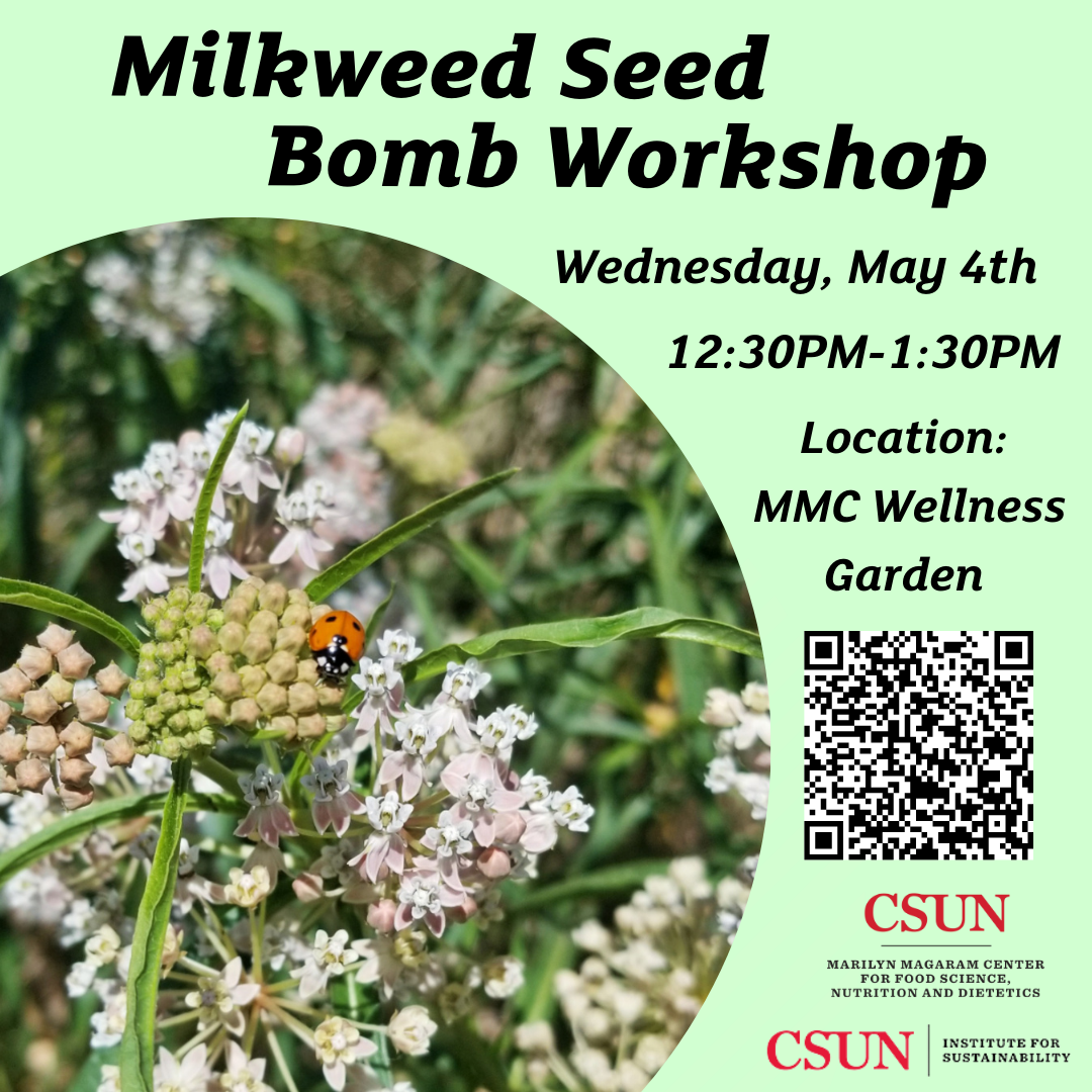 Milkweed Seed Bomb California State University, Northridge